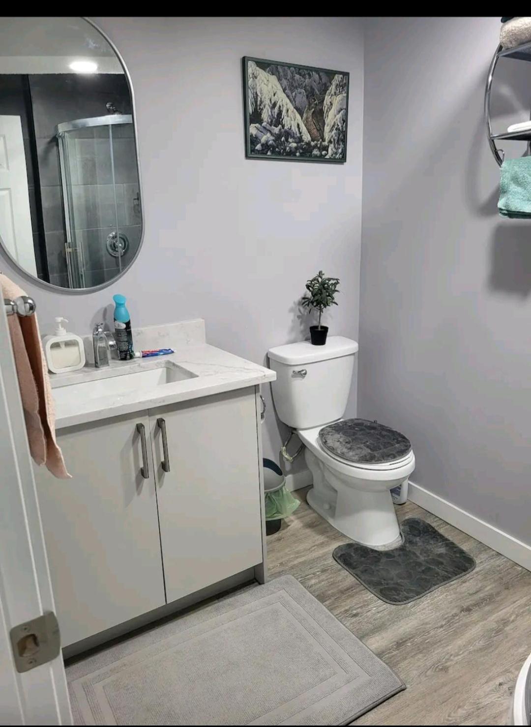 Apartment One Bedroom Basement With Separate Entrance Near Airport