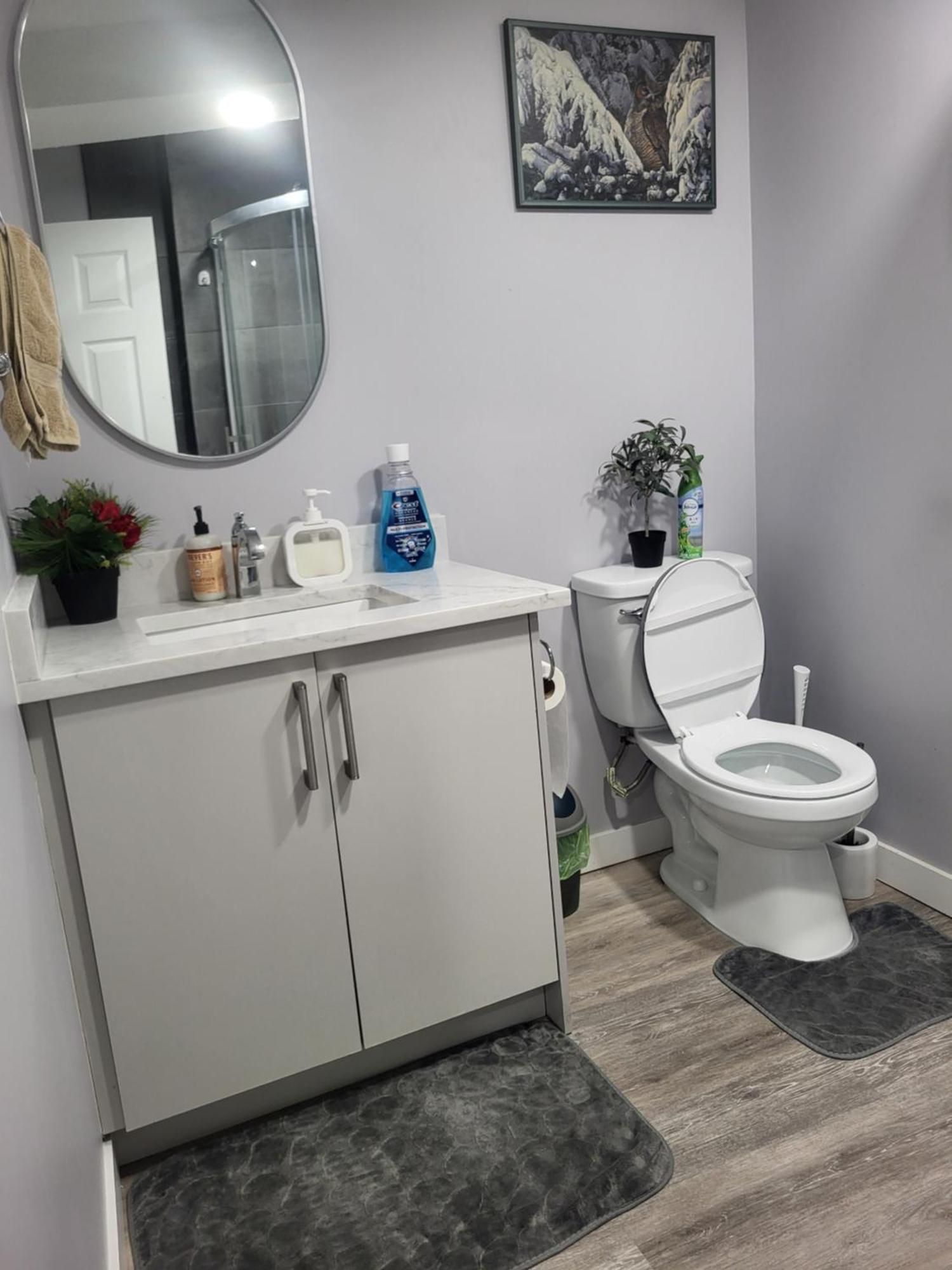 One Bedroom Basement With Separate Entrance Near Airport Apartment Calgary